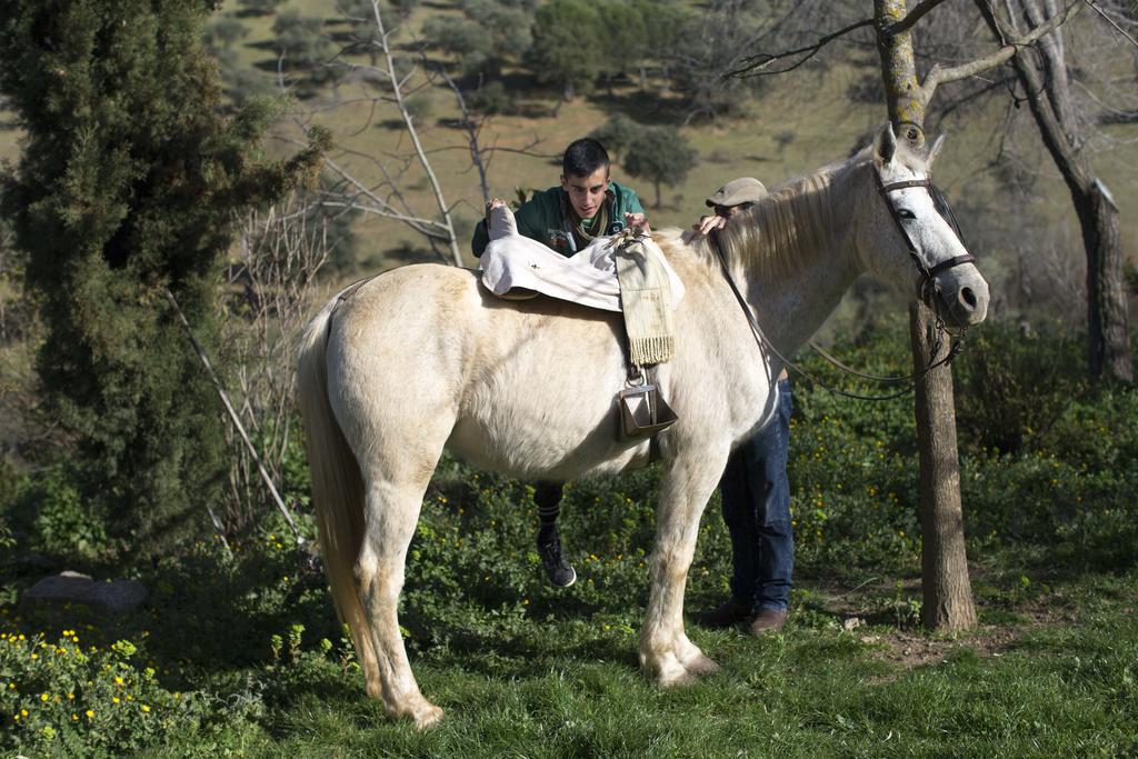 Cortijo El Berrocal Pensionat Cazalla de la Sierra Exteriör bild